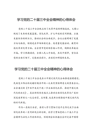 党员关于学习二十届三中全会精神心得感悟发言三十六篇.docx