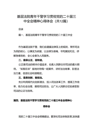 基层法院青年干警学习贯彻党的二十届三中全会精神心得体会12篇（精选）.docx