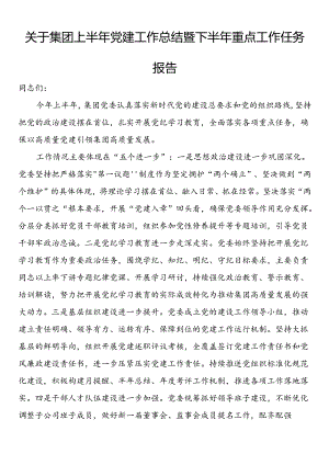 关于集团上半年党建工作总结暨下半年重点工作任务报告.docx