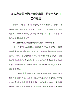 2023年度县市场监督管理局主要负责人述法工作报告.docx