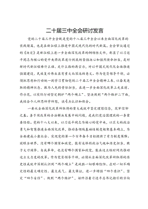 二十届三中全会研讨发言.docx