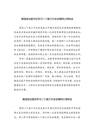基层政法委书记学习二十届三中全会精神心得体会5篇（精选版）.docx