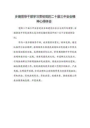 乡镇领导干部学习贯彻党的二十届三中全会精神心得体会.docx