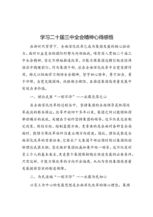 学习二十届三中全会精神心得感悟(5).docx