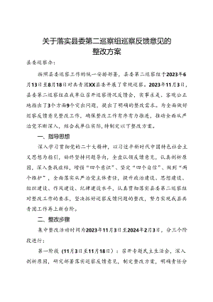团委落实巡察反馈意见整改方案4600字.docx