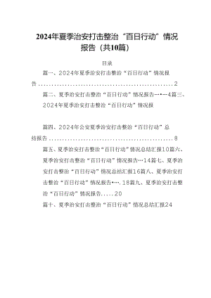 2024年夏季治安打击整治“百日行动”情况报告（共10篇）汇编.docx
