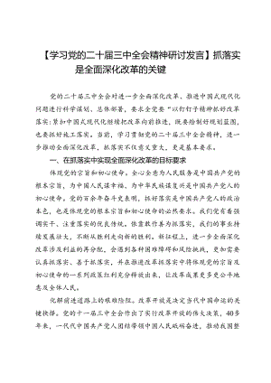 【学习党的二十届三中全会精神研讨发言】抓落实是全面深化改革的关键.docx