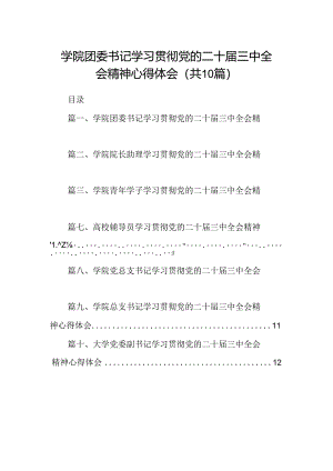 学院团委书记学习贯彻党的二十届三中全会精神心得体会10篇供参考.docx