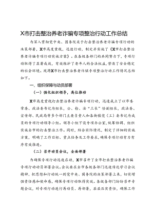 X市打击整治养老诈骗专项整治行动工作总结.docx