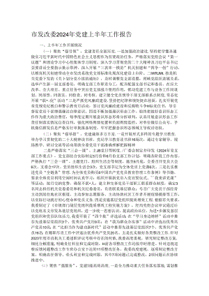 市发改委2024年党建上半年工作报告.docx