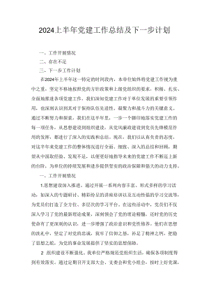 上半年党建工作总结及下一步计划十二篇合集（2024）.docx