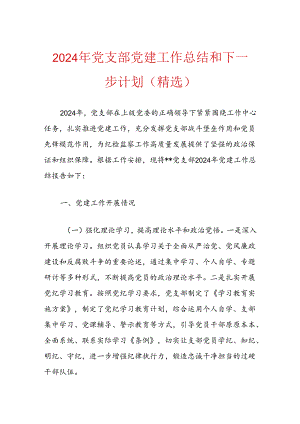 2024年党支部党建工作总结和下一步计划.docx