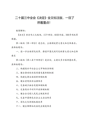 二十届三中全会《决定》全文标注版一目了然看重点！.docx