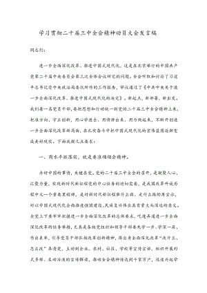 学习贯彻二十届三中全会精神动员大会发言稿.docx