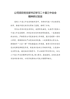 公司项目党支部书记学习二十届三中全会精神研讨发言.docx