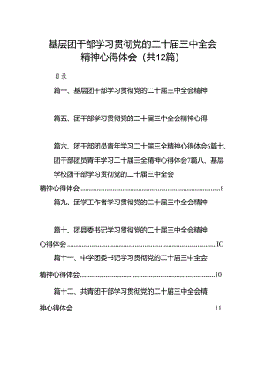 基层团干部学习贯彻党的二十届三中全会精神心得体会范文12篇（详细版）.docx