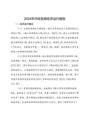 2024年市经发局经济运行报告.docx