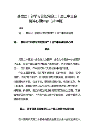 基层团干部学习贯彻党的二十届三中全会精神心得体会10篇专题资料.docx