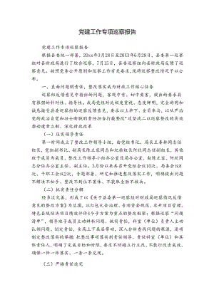 党建工作专项巡察报告.docx