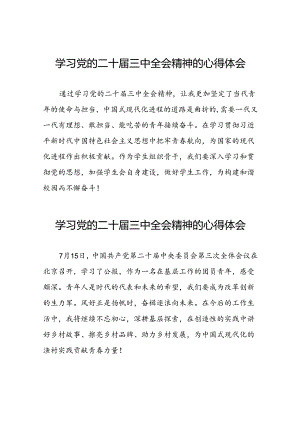 学习党的二十届三中全会精神的心得体会简要发言四十四篇.docx