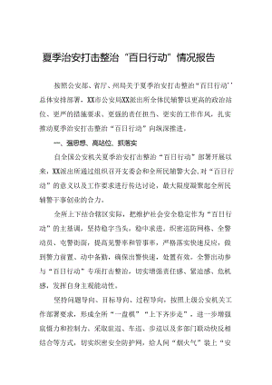 四篇派出所开展夏季治安打击整治“百日行动”情况总结报告.docx