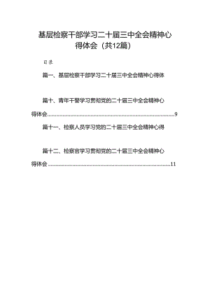 基层检察干部学习二十届三中全会精神心得体会（共12篇）.docx