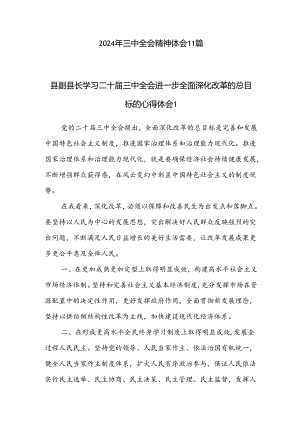 2024年三中全会精神体会11篇（纪检公司办公室乡镇教师副县长等）.docx