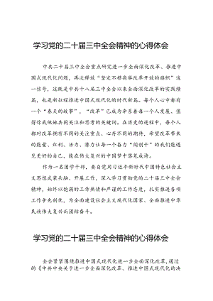 学习贯彻二十届三中全会精神的心得体会最新模板三十六篇.docx