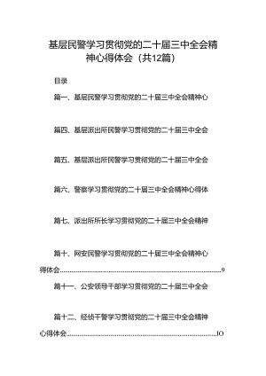 基层民警学习贯彻党的二十届三中全会精神心得体会范文12篇（详细版）.docx