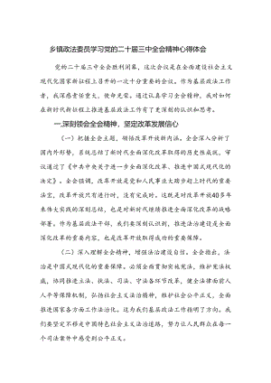 乡镇政法委员学习党的二十届三中全会精神心得体会研讨发言.docx