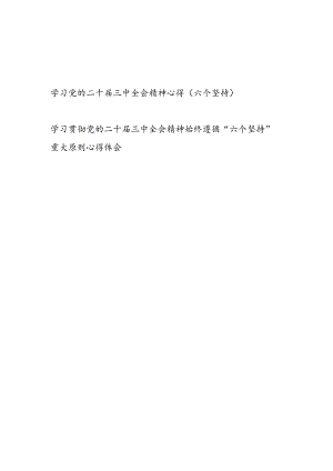 学习党的二十届三中全会精神始终遵循“六个坚持”重大原则专题学习心得体会2篇.docx