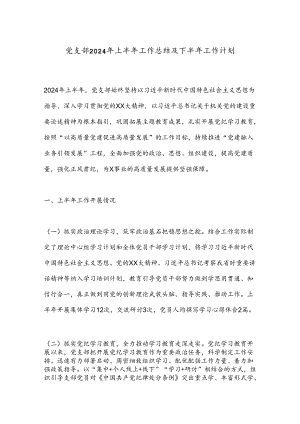 党支部2024年上半年工作总结及下半年工作计划.docx
