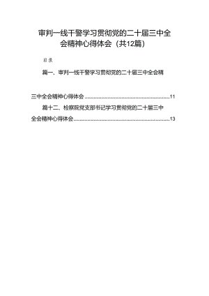 审判一线干警学习贯彻党的二十届三中全会精神心得体会12篇（精选）.docx