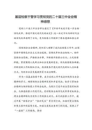 基层检察干警学习贯彻党的二十届三中全会精神感想.docx