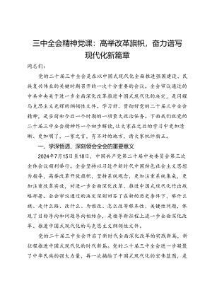 三中全会精神党课：高举改革旗帜奋力谱写现代化新篇章.docx