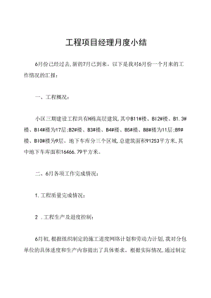 工程项目经理月度小结.docx
