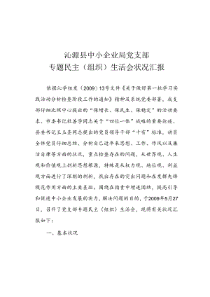 党支部专题民主生活会情况汇报.docx