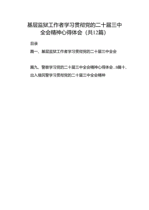基层监狱工作者学习贯彻党的二十届三中全会精神心得体会12篇（详细版）.docx