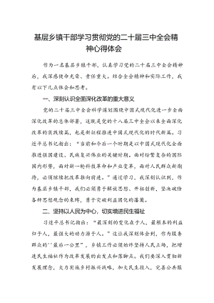 基层乡镇干部学习贯彻党的二十届三中全会精神心得体会.docx