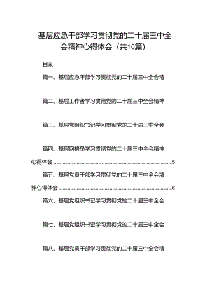 基层应急干部学习贯彻党的二十届三中全会精神心得体会十篇（精选）.docx