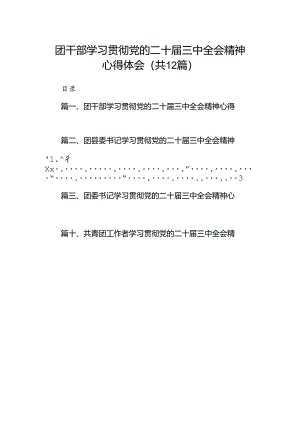 团干部学习贯彻党的二十届三中全会精神心得体会 （汇编12份）.docx