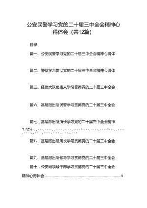 公安民警学习党的二十届三中全会精神心得体会范文12篇（详细版）.docx