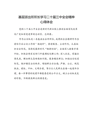 基层派出所所长学习二十届三中全会精神心得体会.docx