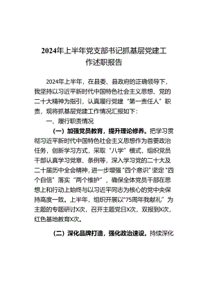 2024年上半年党支部书记抓基层党建工作述职报告范文.docx