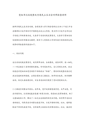 党组书记巡视整改专题民主生活会对照检查材料.docx