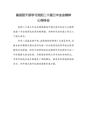 基层团干部学习党的二十届三中全会精神心得体会.docx