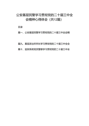 公安基层民警学习贯彻党的二十届三中全会精神心得体会（共12篇）.docx