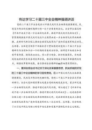 传达学习二十届三中全会精神强调讲话 .docx