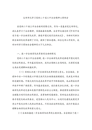 党支部书记学习贯彻二十届三中全会公报精神心得体会研讨发言.docx