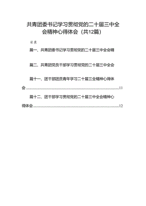 共青团委书记学习贯彻党的二十届三中全会精神心得体会12篇（精选）.docx